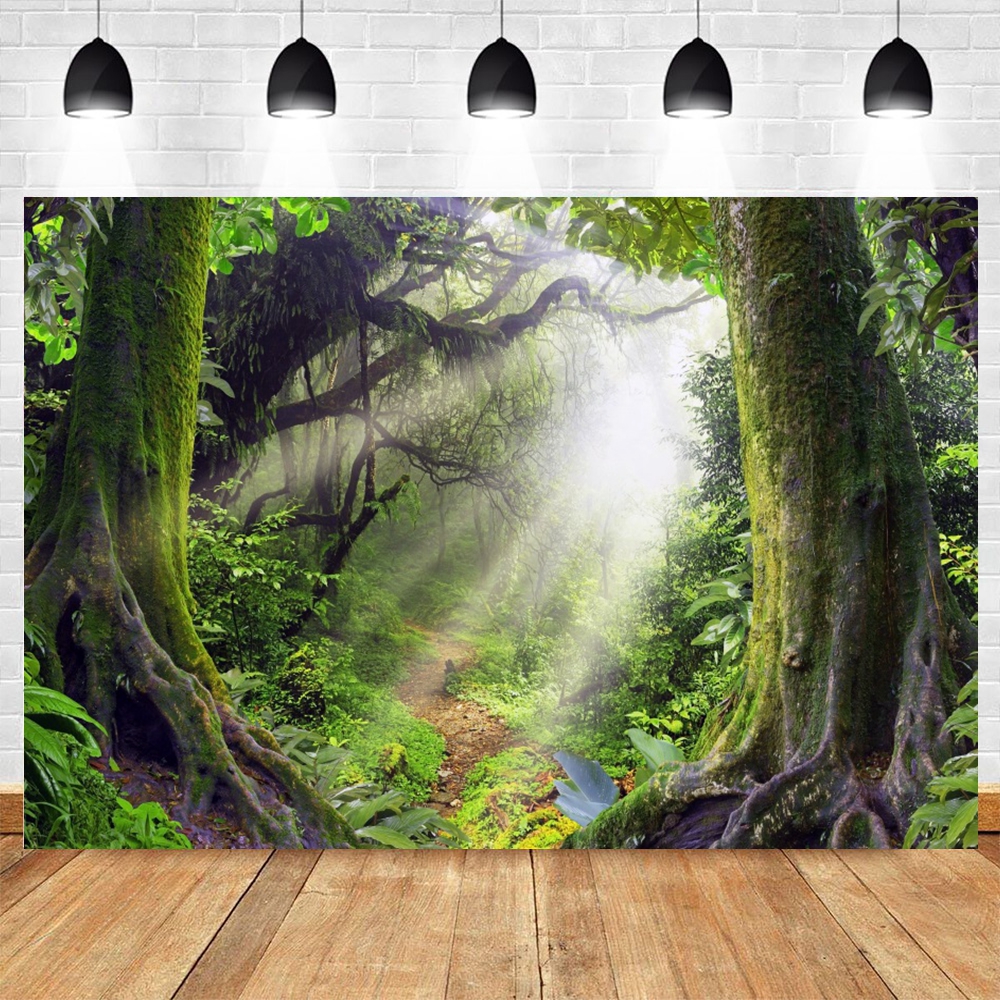 Tropical Rainforest Photograph - Outdoor Adventure Background ulasan dan harga