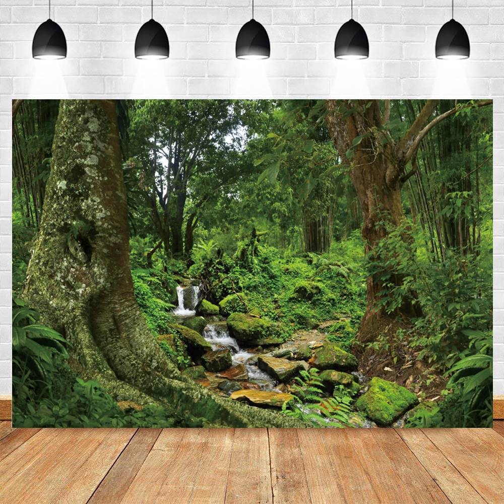 Tropical Rainforest Photograph - Outdoor Adventure Background ulasan dan harga